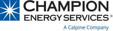 champion logo champion logo